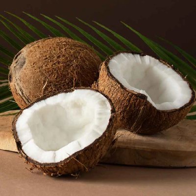 Coconut